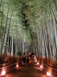 Arashiyama Bamboo Grove lit up